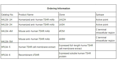 抗ヒトtshr mab