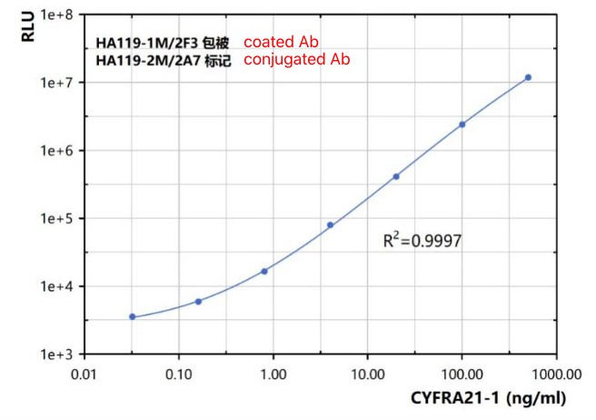 CYFRA21 1