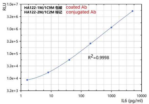 Il 6 Marker