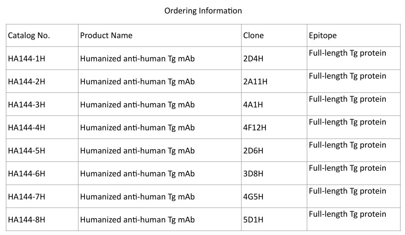 Thyroglobulin (Tg)