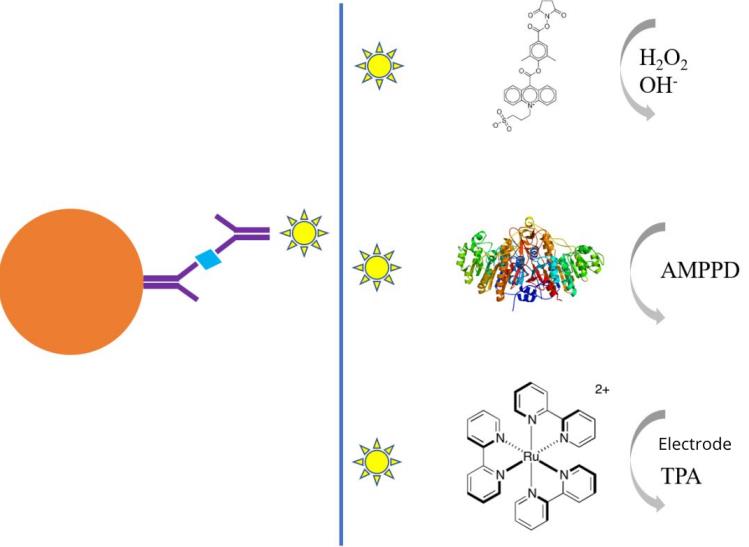 Sekbio_CLIA_Bulk_Reagents_Solution-4.jpg